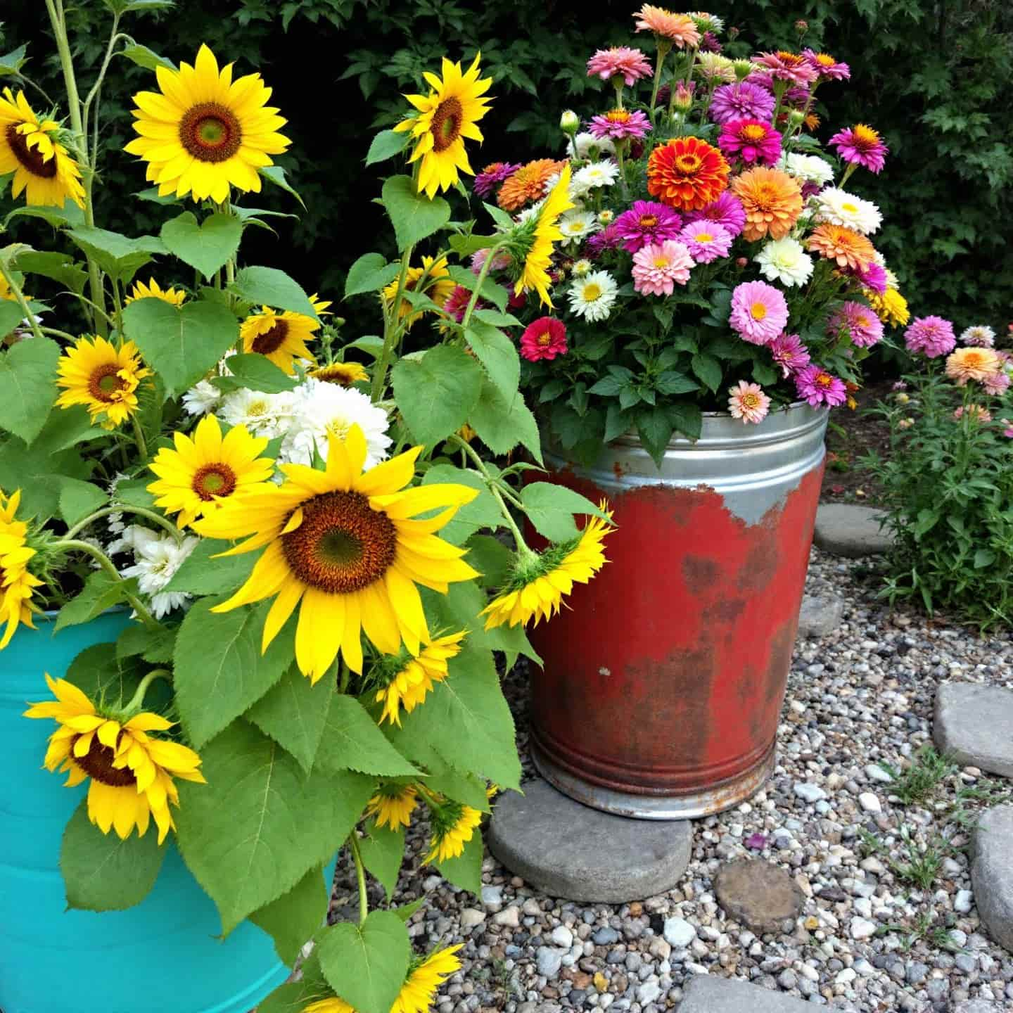 aluminum wash tubs creatively repurposed as garden planters